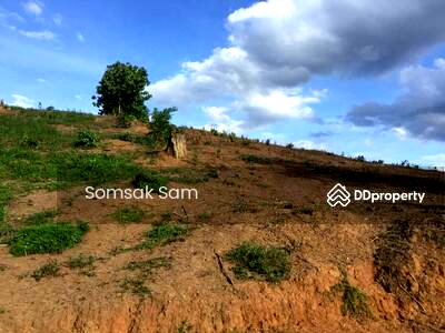 Land for sale : Land for sale, beautiful land, mountain view, Mae Hong Son Province