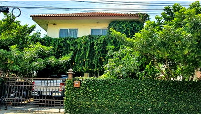 บ้านเดี่ยว วิทยาลัยการอาชีพกาญจนาภิเษกหนองจอก : K02462 ขายบ้านเดี่ยว หมู่บ้านเพ็ญศิริเพลส สุวินทวงศ์-สุวรรณภูมิ เขตหนองจอก