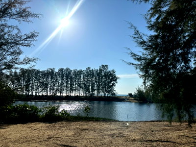 ขายที่ดิน : ขายที่ดิน ท้ายเหมือง พังงา ที่ดินแปลงใหญ่ ทำเลศักยภาพ