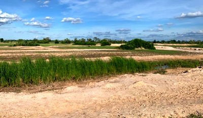 ที่ดิน นครราชสีมา (โคราช) : ขายที่ดินเปล่า   เนื้อที่ 19 ไร่ อ.ด่านขุนทด จ.นครราชสีมา