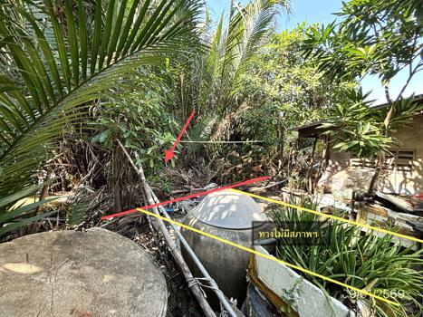 รูป ที่ดินว่างเปล่า สำหรับขาย - บางหญ้าแพรก เมืองสมุทรสาคร สมุทรสาคร - รูปที่ 13/16