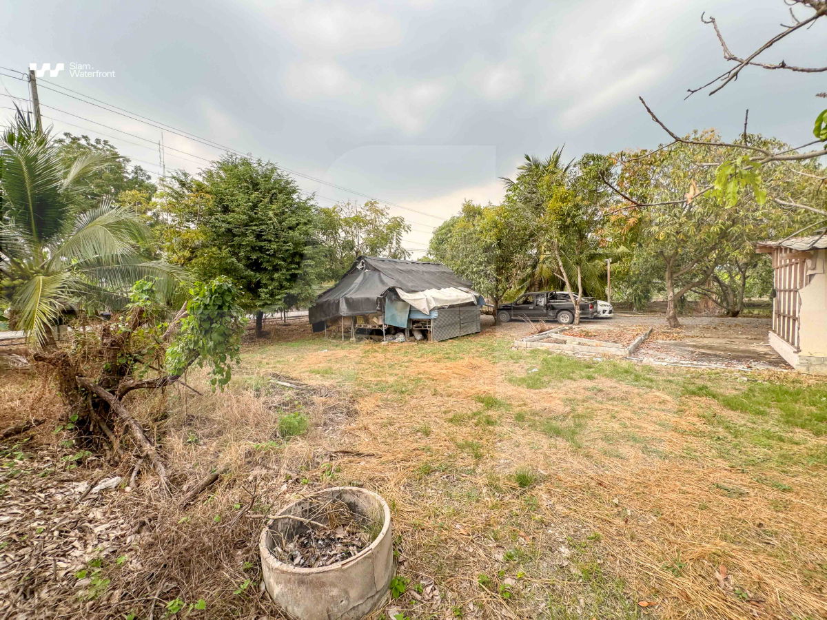 รูป 🔥ขายด่วน ไร่ละ1.8ล้าน🔥ที่ดินสวนฝรั่ง 19-3-24.9ไร่ พร้อมบ้านพัก ใกล้วัดจินดาราม ตลาดจินดา สามพราน จ.นครปฐม  - รูปที่ 13/28