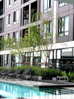 Condos for rent Central Plaza Chaengwattana : FOR RENT!! NUE Noble Chaengwattana 1br 1bath 30.5sqm.