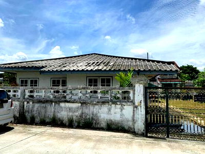 Houses for rent วิทยาลัยเซาธ์อีสท์บางกอก : House for rent near BTS Bearing, can be rented separately