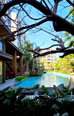Condos for rent 700 Year Sports Arena Chiang Mai : Luxury Condo by Sansiri  ✅ Fully furnished