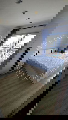 คอนโดให้เช่า : 🏢คอนโดหรู Aspire Sukhumvit 48 ห้องจริงราคาจริง  BTS พระโขนง🚝