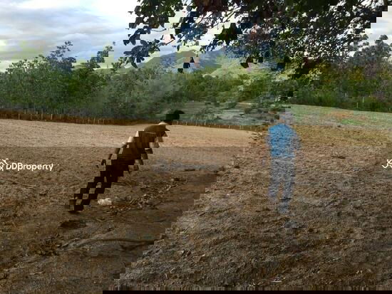 รูป ขายที่ดิน   จ.แม่ฮ่องสอน  เนื้อที่ 3-3-30 ไร่  เหมาะสำหรับสร้างบ้านพักตากอากาศ - รูปที่ 2/3