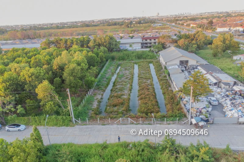 รูป ขายที่ดินซอยบงกช 59 คลองสอง ปทุมธานี ขนาด 2 ไร่ ติดถนนคอนกรีต ทำเลดี เหมาะสำหรับพัฒนาเป็น โกดัง คลังสินค้า หรือที่อยู่อาศัย - รูปที่ 10/18