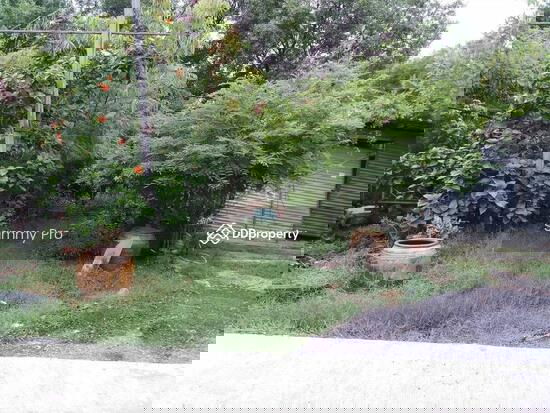 picture Land for sale, Khlong Dan Bang Bo Samut Prakan - 3/3