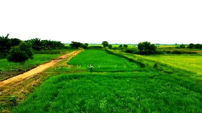 Land for sale Ongkharak Nakhon Nayok : Land for sale, Khlong 22, Nakhon Nayok