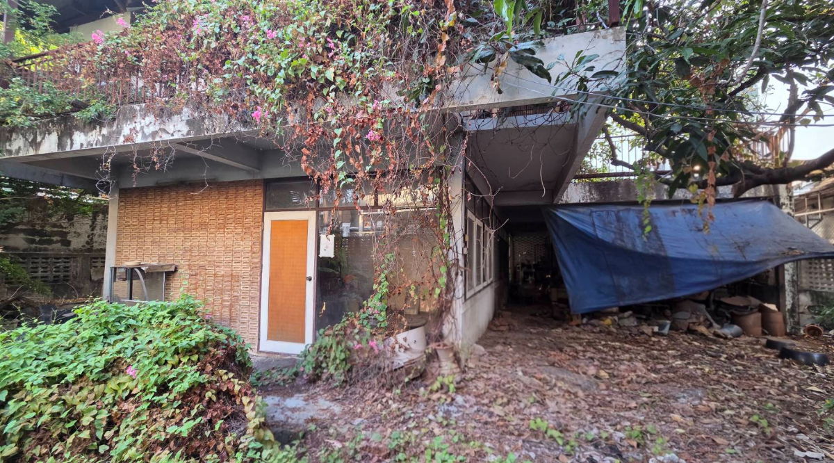 รูป 259AGJD ที่ดิน แถมบ้านเดี่ยว 101 ตรว. ทำเลเทพ ลาดพร้าว 25 - รูปที่ 1/8