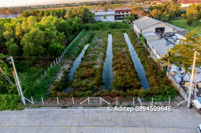 ที่ดิน ดรีมเวิลด์ : ขายที่ดินซอยบงกช 59 คลองสอง ปทุมธานี ขนาด 2 ไร่ ติดถนนคอนกรีต ทำเลดี  เหมาะสำหรับพัฒนาเป็น โกดัง คลังสินค้า หรือที่อยู่อาศัย