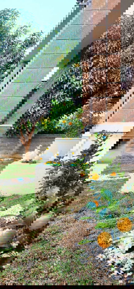 รูป 🏡 บ้านเดี่ยวให้เช่า ใกล้เซ็นทรัลเฟส | โครงการ The Patio – สันทราย ว่าง 28 ม.ค. 2569 | รับจองล่วงหน้า - รูปที่ 6/27