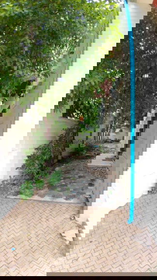 รูป บ้านเเฝด 4 ชั้นเล่นระดับเหมาะสำหรับโฮมออฟฟิส มี 5 ห้องนอน 350 ตรม.10 นาทีเดินถึงสถานีรถไฟฟ้าอารีย์ - รูปที่ 48/115