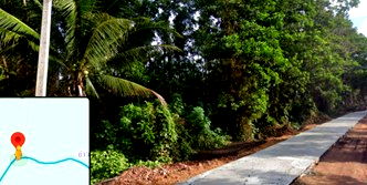 ที่ดิน ชุมพร : ขายที่ดินราคาถูกแถวอ่าวลกกำ (ด่านสวี ชุมพร) 136-3-40ไร่