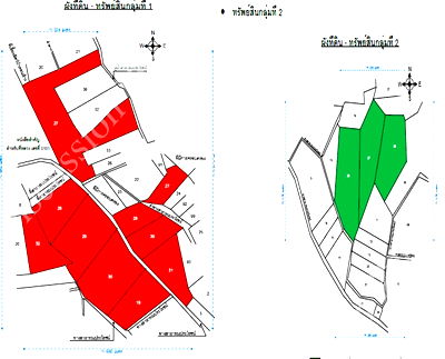 ที่ดิน หลังสวน ชุมพร : ขายที่ดินกลุ่มใหญ่ ต.บางน้ำจืด อ.หลังสวน จ.ชุมพร 196.27 ไร่