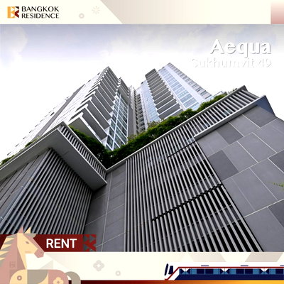 คอนโดให้เช่า : 🐶🐱 ทาสต้องรัก!  Aequa Sukhumvit 49 ยูนิตรับสัตว์เลี้ยง ชั้นสูง วิวโล่ง ใกล้ BTS ทองหล่อ