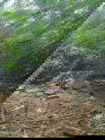 รูป BP00496 ขายโรงงาน ตำบลหมอนนาง อำเภอพนัสนิคม ชลบุรี - รูปที่ 3/8