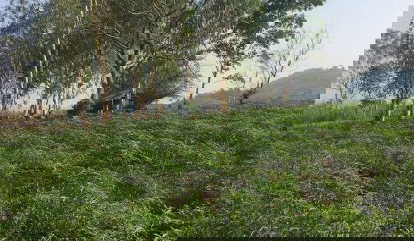 รูป ขายที่ดินเปล่า  วิวสวย อยู่บนเนินเขา  จ.เชียงราย  ทำเลดี - รูปที่ 2/4