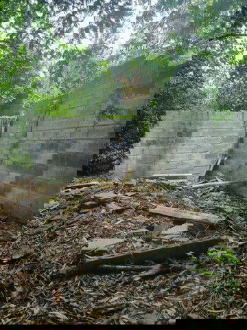 รูป BP00496 ขายโรงงาน ตำบลหมอนนาง อำเภอพนัสนิคม ชลบุรี - รูปที่ 8/8