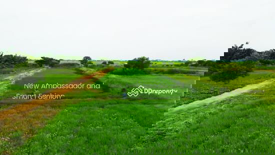 รูป ขายที่ดินเปล่า ทำเลดีมาก อยู่ใกล้แหล่งชุมชน สาธารณูปโภคครบครัน  เดินทางสะดวก จ.นครนายก - รูปที่ 3/3