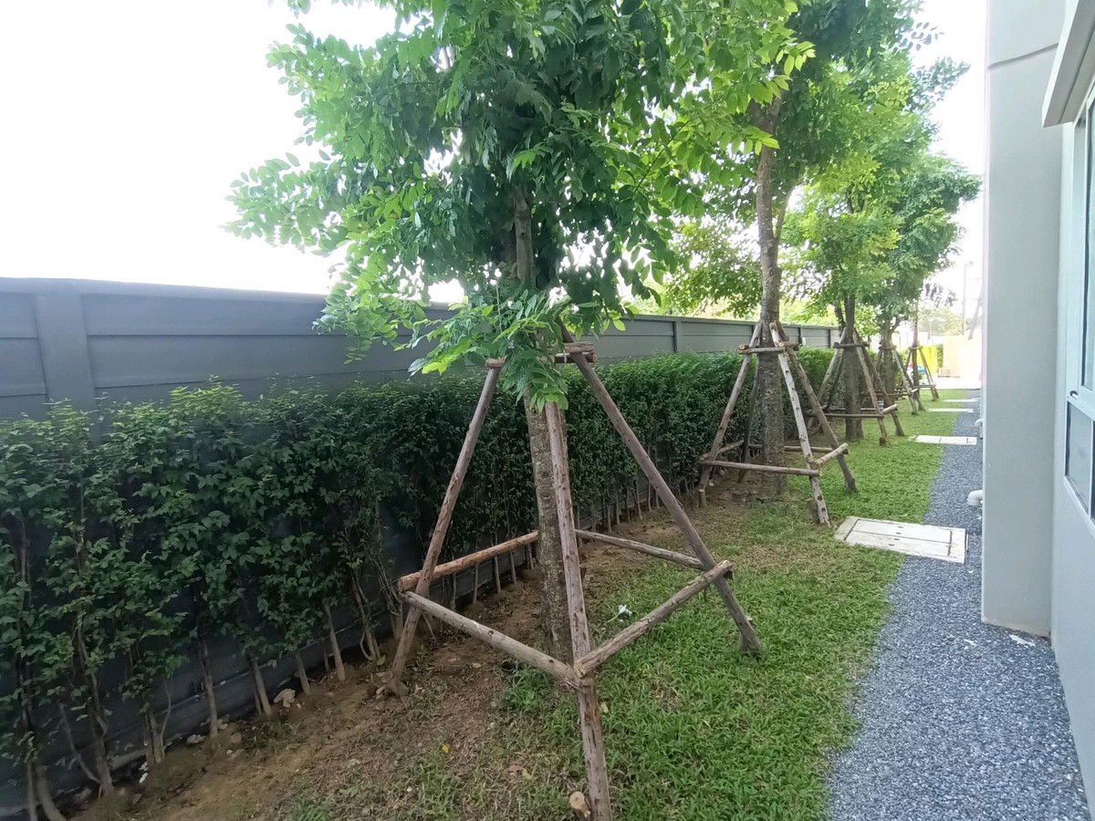 picture Code: 26KJ706 for rent dcondo Sand Hatyai  🔥🔥 Line ID: @kjcondo (with @)🔥🔥 - 11/13