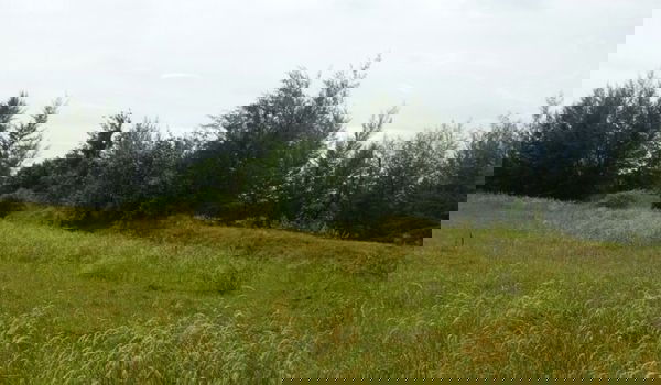 รูป ขายที่ดิน ทำเลสวย บนเกาะพระทอง จ.พังงา ห่างจากทะเลประมาณ 50 เมตร - รูปที่ 2/3