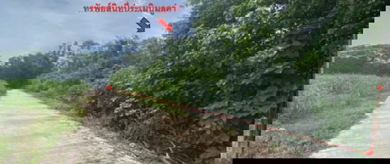 รูป K01481 ขายบ้านเดี่ยว ตำบลไร่อ้อย อำเภอพิชัย จังหวัดอุตรดิตถ์ - รูปที่ 7/8