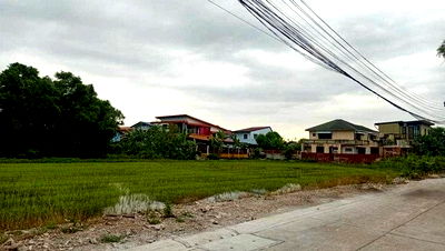 ที่ดิน สำนักงานปศุสัตว์จังหวัดปทุมธานี : ขายขาดทุน ที่ดิน 1-1-96.8 ไร่ ผังสีชมพู ถนนเลียบคลองเปรมประชากร เหมาะสร้างบ้าน โกดัง คลังสินค้า