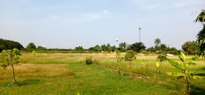 ที่ดิน เมืองสมุทรสาคร สมุทรสาคร : ขายที่ดินเปล่าถมแล้ว ติดถนนพระราม 2 ใกล้ทางด่วนกาญจนาภิเษก-วงแหวนอุตสาหกรรม