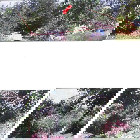 รูป K00068 ขายที่ดินเปล่า ตำบลหย่วน อำเภอเชียงคำ จังหวัดพะเยา - รูปที่ 5/8