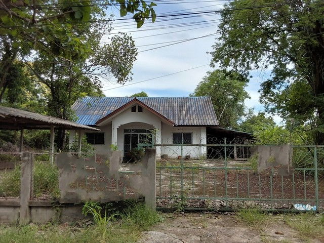 รูป K01945 ขายบ้านเดี่ยว หมู่ที่ 3 โครงการบ้านสันติ อำเภอสันกำแพง - รูปที่ 1/8