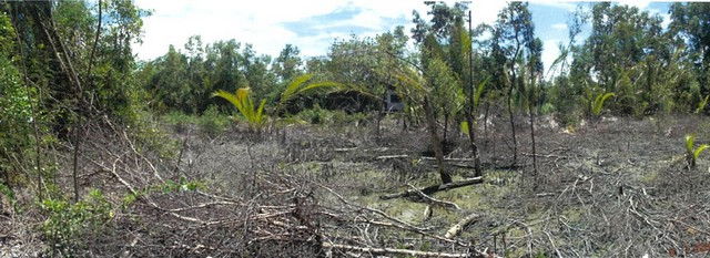 รูป K01530 ขายที่ดิน ตำบลยี่สาร อำเภออัมพวา จังหวัดสมุทรสงคราม - รูปที่ 7/8