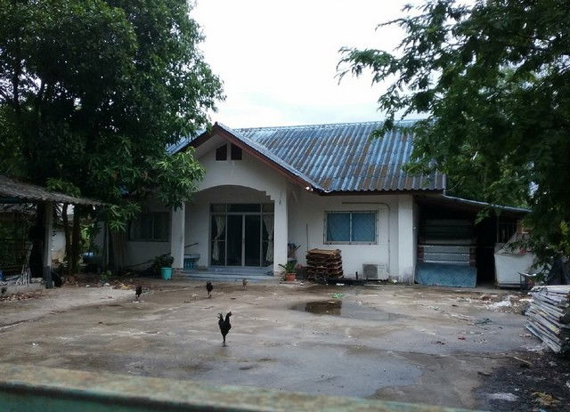 รูป K01945 ขายบ้านเดี่ยว หมู่ที่ 3 โครงการบ้านสันติ อำเภอสันกำแพง - รูปที่ 2/8