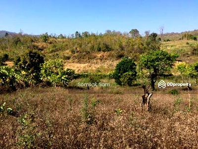 ที่ดิน ปาย แม่ฮ่องสอน : ขายที่ดิน อ.ปาย จ.แม่ฮ่องสอน 12 ไร่ ที่สวย เป็นเนิน วิวภูเขา อยู่บ้านตาลเจ็ดต้น