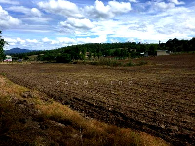 Land for sale : Land for sale in Mae Hong Son Province, Coffee in Love coffee shop