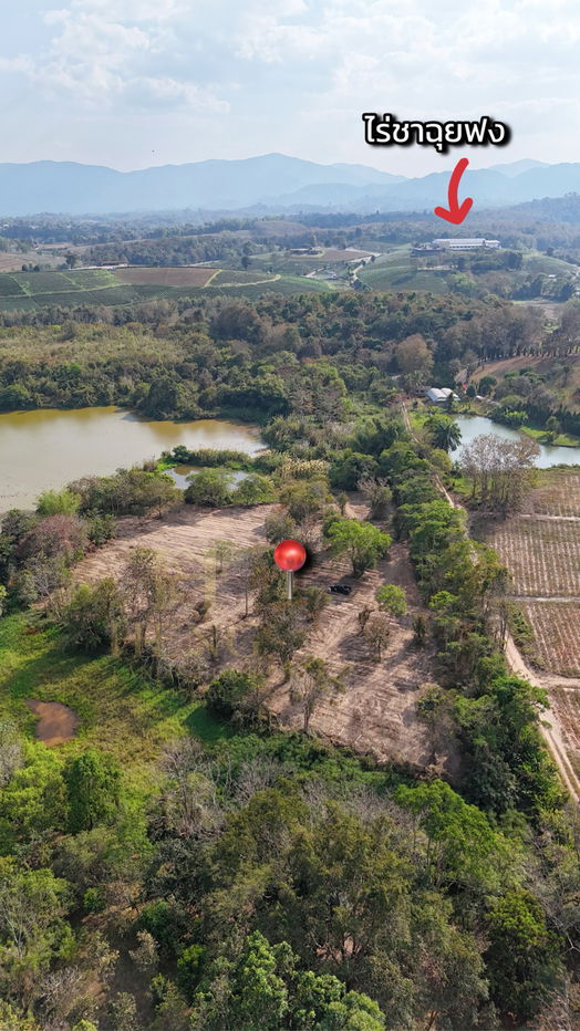 รูป ประกาศขายที่ดิน ทำเลศักยภาพ ใกล้ไร่ชาฉุยฟง แหล่งท่องเที่ยว ตำบลศรีค้ำ อำเภอแม่จัน - รูปที่ 9/10