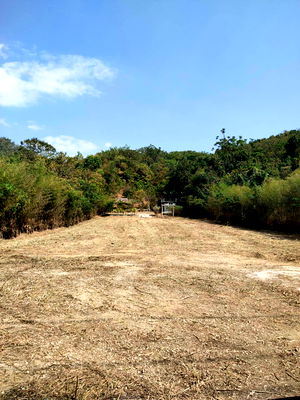 ขายที่ดิน : ขายที่ดินสวย สัตหีบ ชลบุรี  ใกล้อู่ตะเภา หลังติดเขา วิวธรรมชาติ