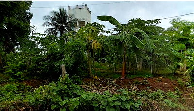 ที่ดิน พิจิตร : K00249 ขายที่ดินเปล่า ตำบลห้วยเกตุ อำเภอตะพานหิน จังหวัดพิจิตร