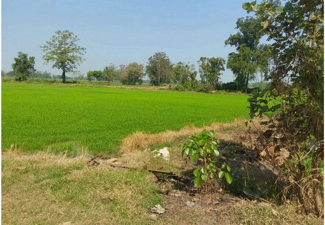 picture FOR SALE  LAND PROPERTY  6005000 BAHT. - 3/8