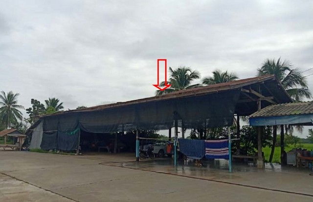 รูป K01223 ขายอาคารพานิชย์ ตำบลเนินปอ อำเภอสามง่าม จังหวัดพิจิตร - รูปที่ 4/8