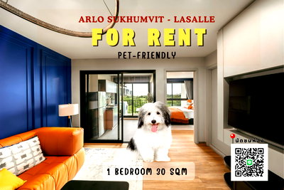 Condos for rent : 🦊 NEW 🦊 Available for rent — 1 Bedroom, 30 sq.m. 🐾 Pet-friendly condominium 💚 ✨ Special price: 13,000 THB / month 💚