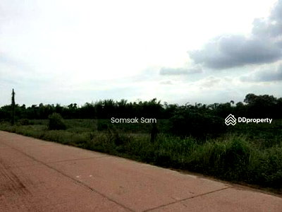 ขายที่ดิน : ขายที่ดิน ต.หนองกี่ อ.กบินทร์บุรี จ.ปราจีนบุรี ที่สวย เหมาะสำหรับบ้านพัก ทำสวน ทำไร่หรือซื้อไว้เกร็งกำไร ฯลฯ อยู่ ใกล้นิคมอุตสากรรม 