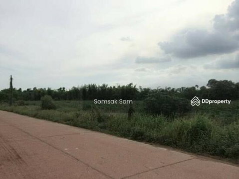 ขายที่ดิน ต.หนองกี่ อ.กบินทร์บุรี จ.ปราจีนบุรี ที่สวย เหมาะสำหรับบ้านพัก ทำสวน ทำไร่หรือซื้อไว้เกร็งกำไร ฯลฯ อยู่ ใกล้นิคมอุตสากรรม 