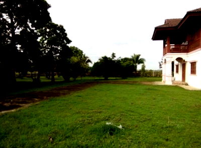 Houses for sale Muang Phrae Phrae : Large House with Land for Sale – Mueang District, Phrae, Thailand