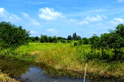 ที่ดิน กระทรวงมหาดไทย :  🌿 ขายที่ดินเปล่า 2 ไร่ องครักษ์ นครนายก ใกล้ Atitaya Golf club and resort