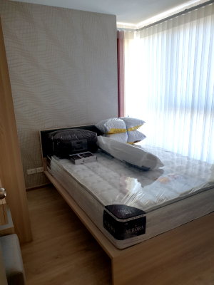 Condos for rent : Condo for rent : IDEO O2 ( BTS Bangna)  MK-02  line @livingbkk