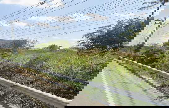 รูป ขาย ที่ดินอุตสาหกรรม ผังเมืองสีม่วง ติดนิคมอุตสาหกรรมอมตะซิตี้ ทำเลหายาก - รูปที่ 3/7