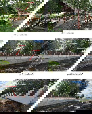 รูป K01837 ขายบ้านเดี่ยว ตำบลบางลี่ อำเภอท่าวุ้ง จังหวัดลพบุรี - รูปที่ 2/8