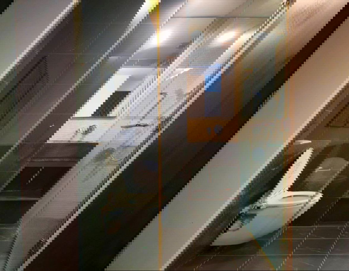 picture For   rent   Siamese Gioia  🔴🔴 - 12/13